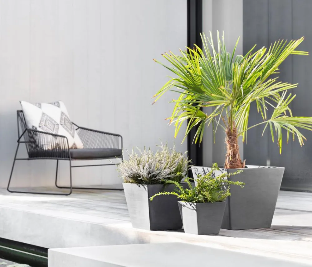Ecopots Kunststoff-Topf Rotterdam, quadratisch Grau Discount