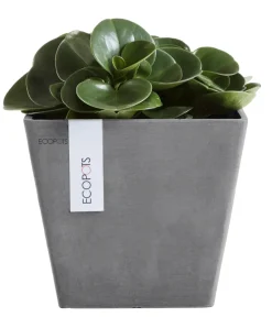 Ecopots Kunststoff-Topf Rotterdam, quadratisch Grau Discount