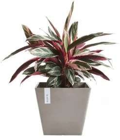 Ecopots Blumentöpfe & Übertöpfe - Kunststoff-Topf Rotterdam, quadratisch Taupe