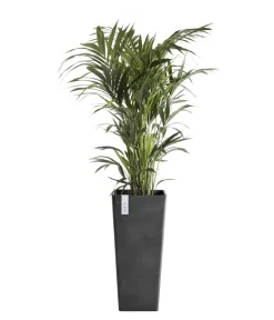 Ecopots Vasen|Blumentöpfe & Übertöpfe > Kunststoff-Topf Rotterdam Hoch, quadratisch