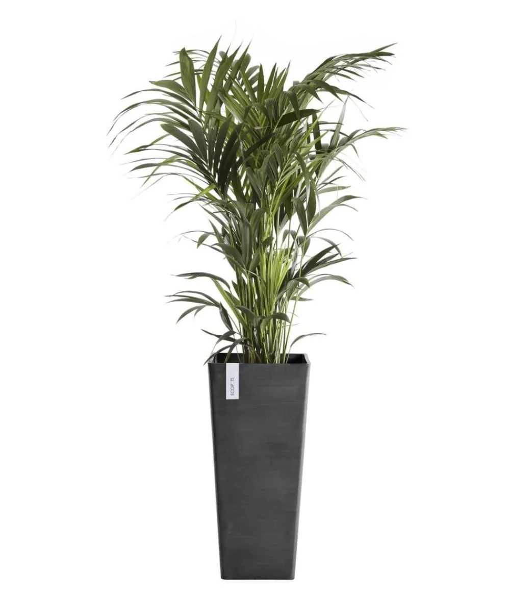 Ecopots Vasen|Blumentöpfe & Übertöpfe > Kunststoff-Topf Rotterdam Hoch, quadratisch