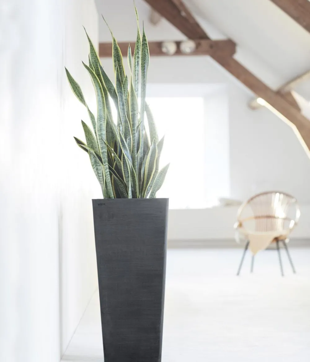 Ecopots Vasen|Blumentöpfe & Übertöpfe > Kunststoff-Topf Rotterdam Hoch, quadratisch