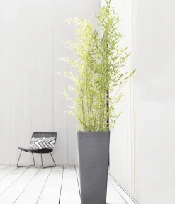 Ecopots Vasen|Blumentöpfe & Übertöpfe > Kunststoff-Topf Rotterdam Hoch, quadratisch