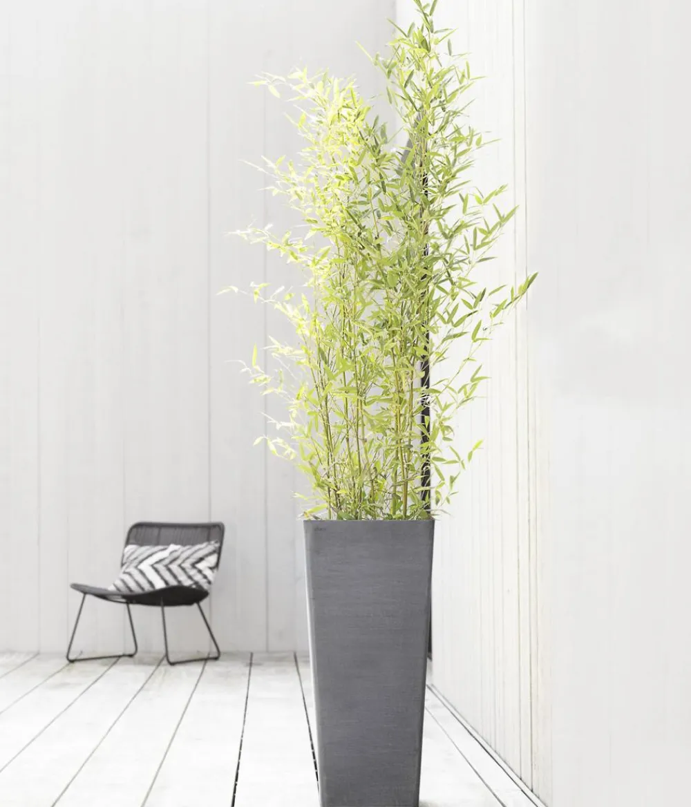 Ecopots Vasen|Blumentöpfe & Übertöpfe > Kunststoff-Topf Rotterdam Hoch, quadratisch