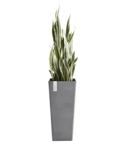 Ecopots Vasen|Blumentöpfe & Übertöpfe > Kunststoff-Topf Rotterdam Hoch, quadratisch