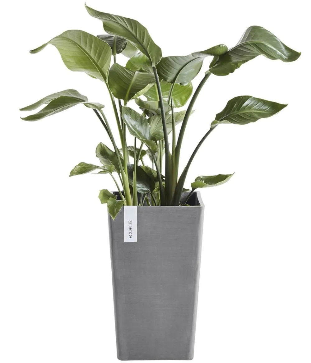 Ecopots Vasen|Blumentöpfe & Übertöpfe - Kunststoff-Topf Rotterdam Hoch, quadratisch Grau