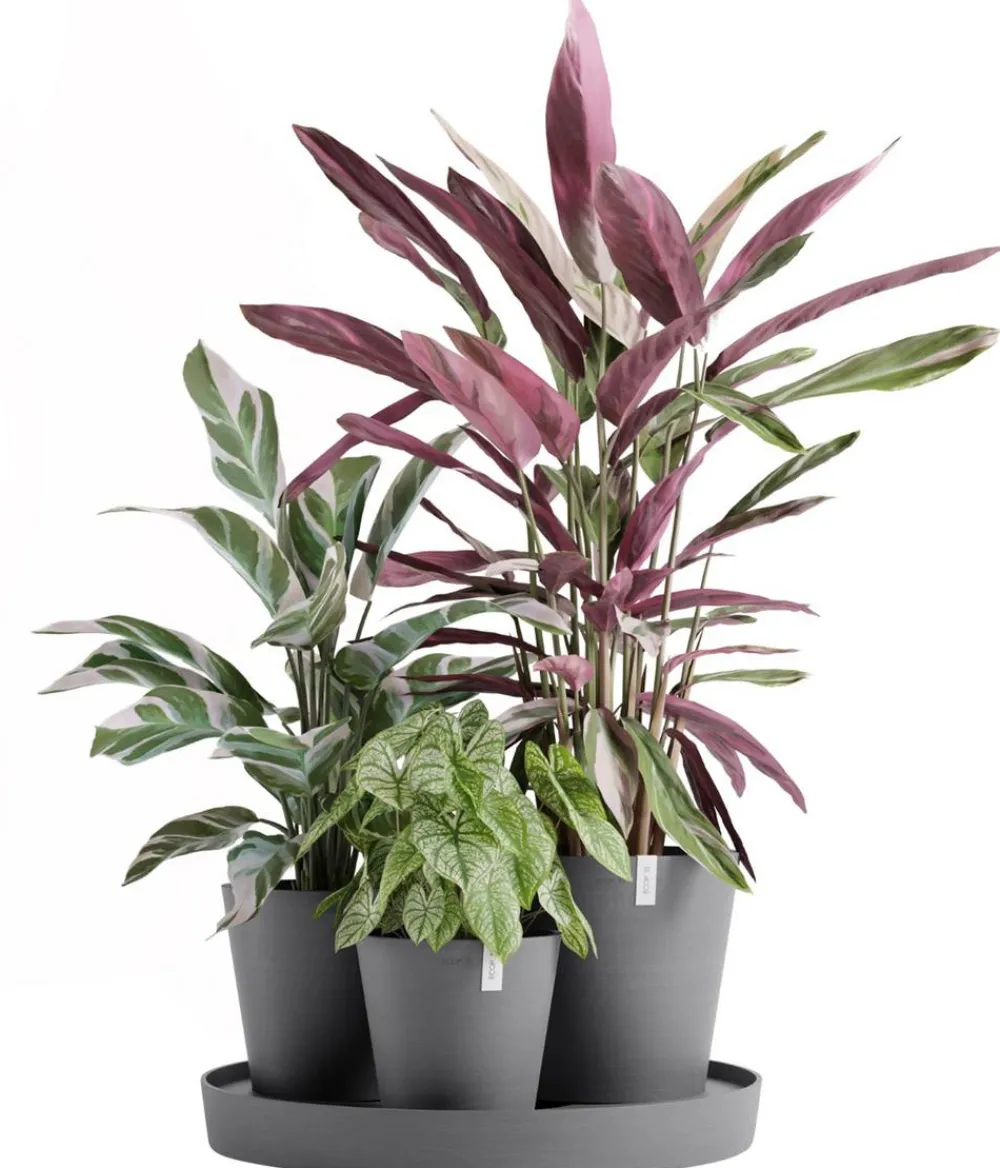 Ecopots Kunststoff-Topf-Set Dubai mit Untersetzer, 4-teilig Grau