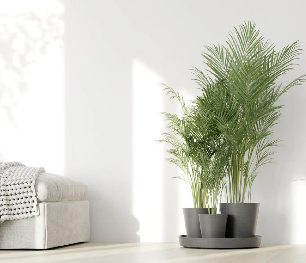 Ecopots Kunststoff-Topf-Set Dubai mit Untersetzer, 4-teilig Grau