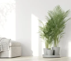 Ecopots Kunststoff-Topf-Set Dubai mit Untersetzer, 4-teilig Hellgrau Best