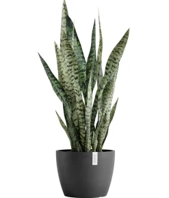 Ecopots Blumentöpfe & Übertöpfe > Kunststoff-Topf Stockholm, rund