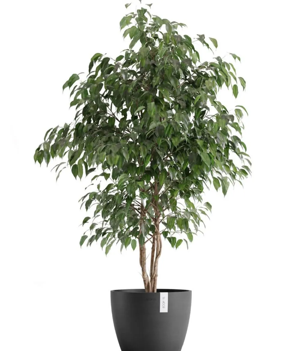 Ecopots Kunststoff-Topf Stockholm, rund Dunkelgrau Clearance