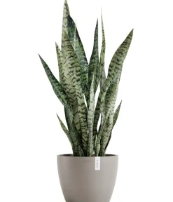 Ecopots Kunststoff-Topf Stockholm, rund Taupe Outlet