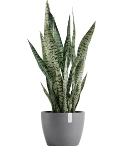 Ecopots Blumentöpfe & Übertöpfe - Kunststoff-Topf Stockholm, rund Grau