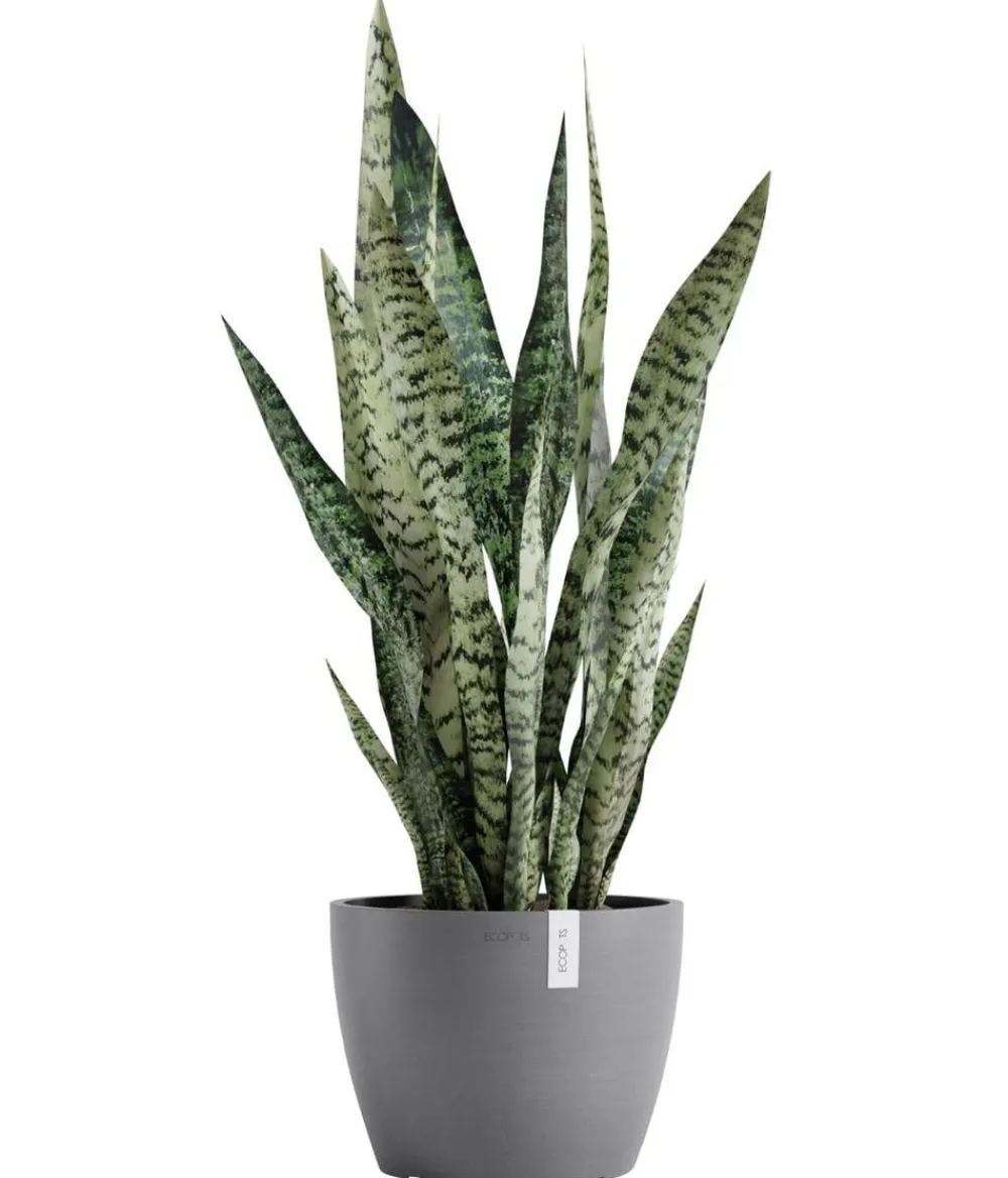 Ecopots Blumentöpfe & Übertöpfe - Kunststoff-Topf Stockholm, rund Grau