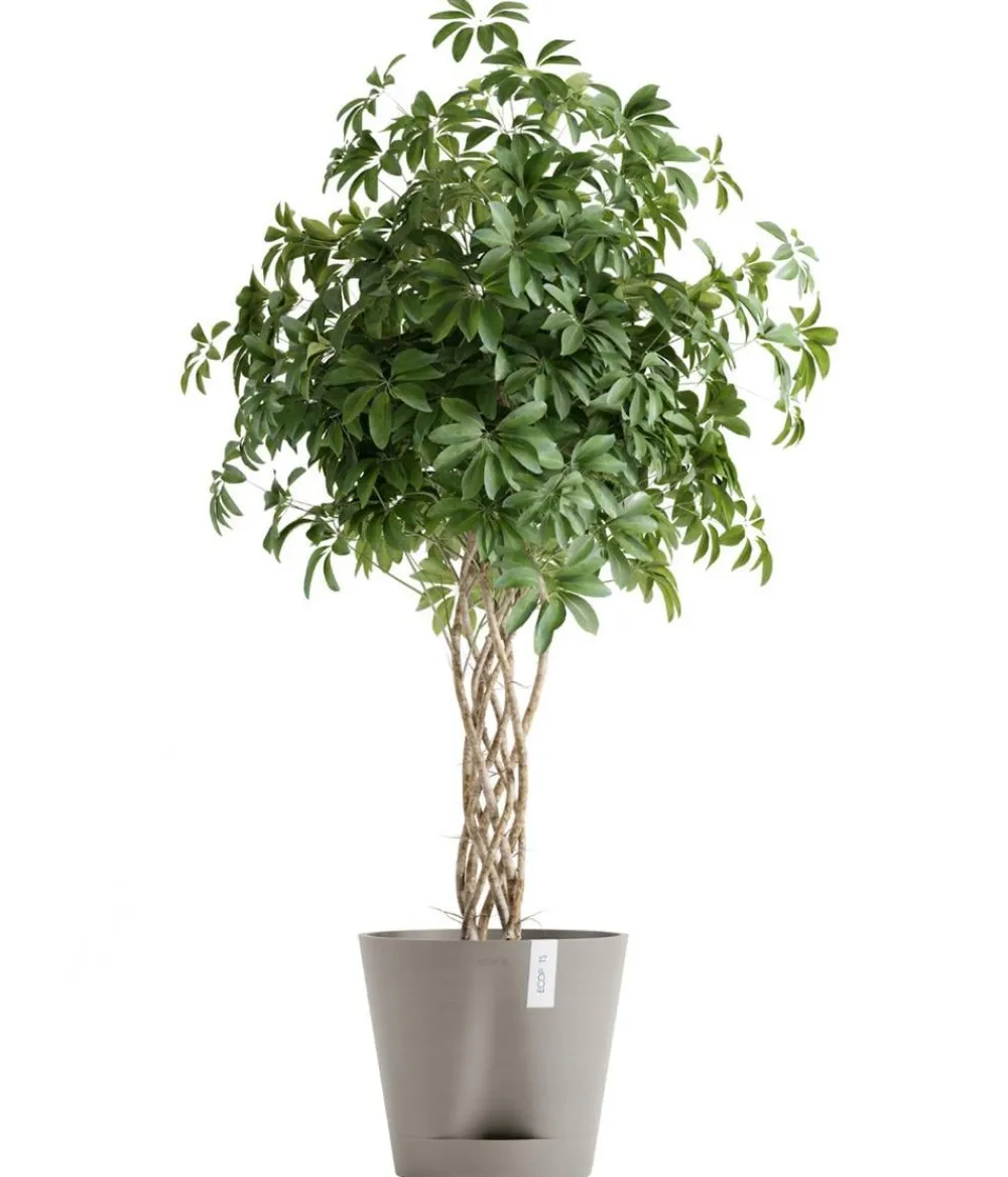 Ecopots Kunststoff-Topf Venice 2, rund Taupe Outlet