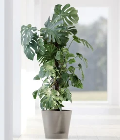 Ecopots Kunststoff-Topf Venice 2, rund Taupe