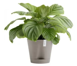 Ecopots Kunststoff-Topf Venice 2, rund Taupe