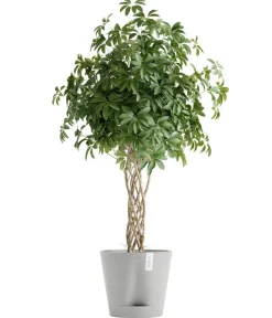 Ecopots Blumentöpfe & Übertöpfe - Kunststoff-Topf Venice 2, rund Hellgrau