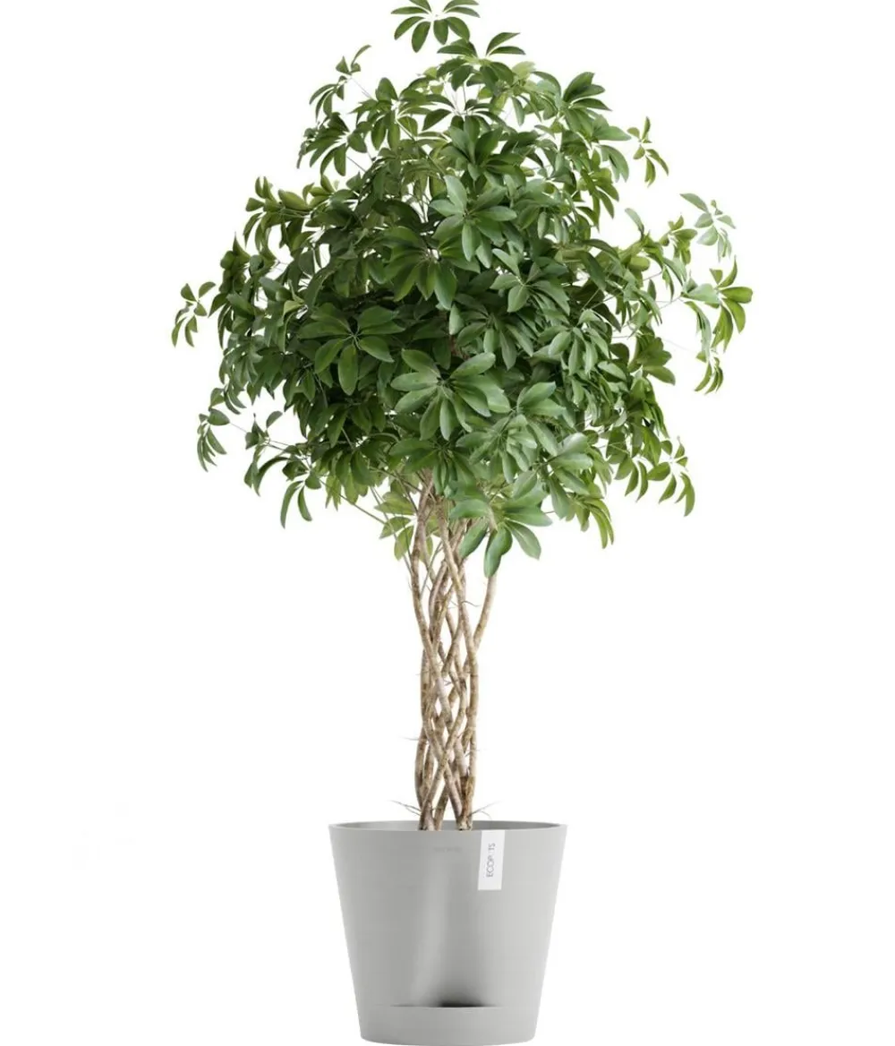 Ecopots Blumentöpfe & Übertöpfe - Kunststoff-Topf Venice 2, rund Hellgrau