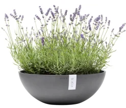 Ecopots Kunststoff-Topf Vienna, oval Grau New