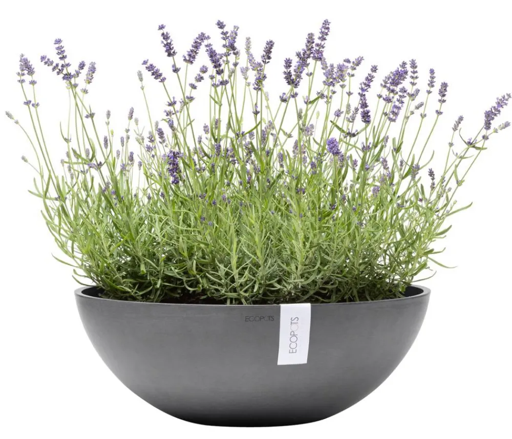 Ecopots Kunststoff-Topf Vienna, oval Grau New