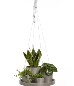 Ecopots Blumentopf Untersetzer|Blumenampeln & -Schalen > Kunststoff-Untersetzer hängend, rund, ca. Ø36/H3 cm