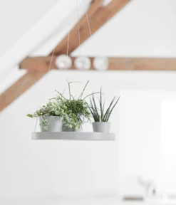 Ecopots Blumentopf Untersetzer|Blumenampeln & -Schalen > Kunststoff-Untersetzer hängend, rund, ca. Ø36/H3 cm