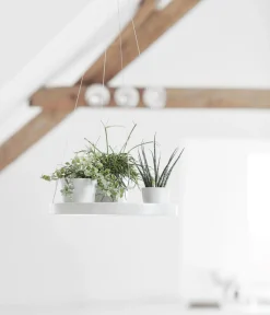 Ecopots Kunststoff-Untersetzer hängend, rund, ca. Ø36/H3 cm Weiß Discount