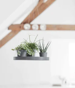 Ecopots Blumentopf Untersetzer|Blumenampeln & -Schalen - Kunststoff-Untersetzer hängend, rund, ca. Ø36/H3 cm Grau