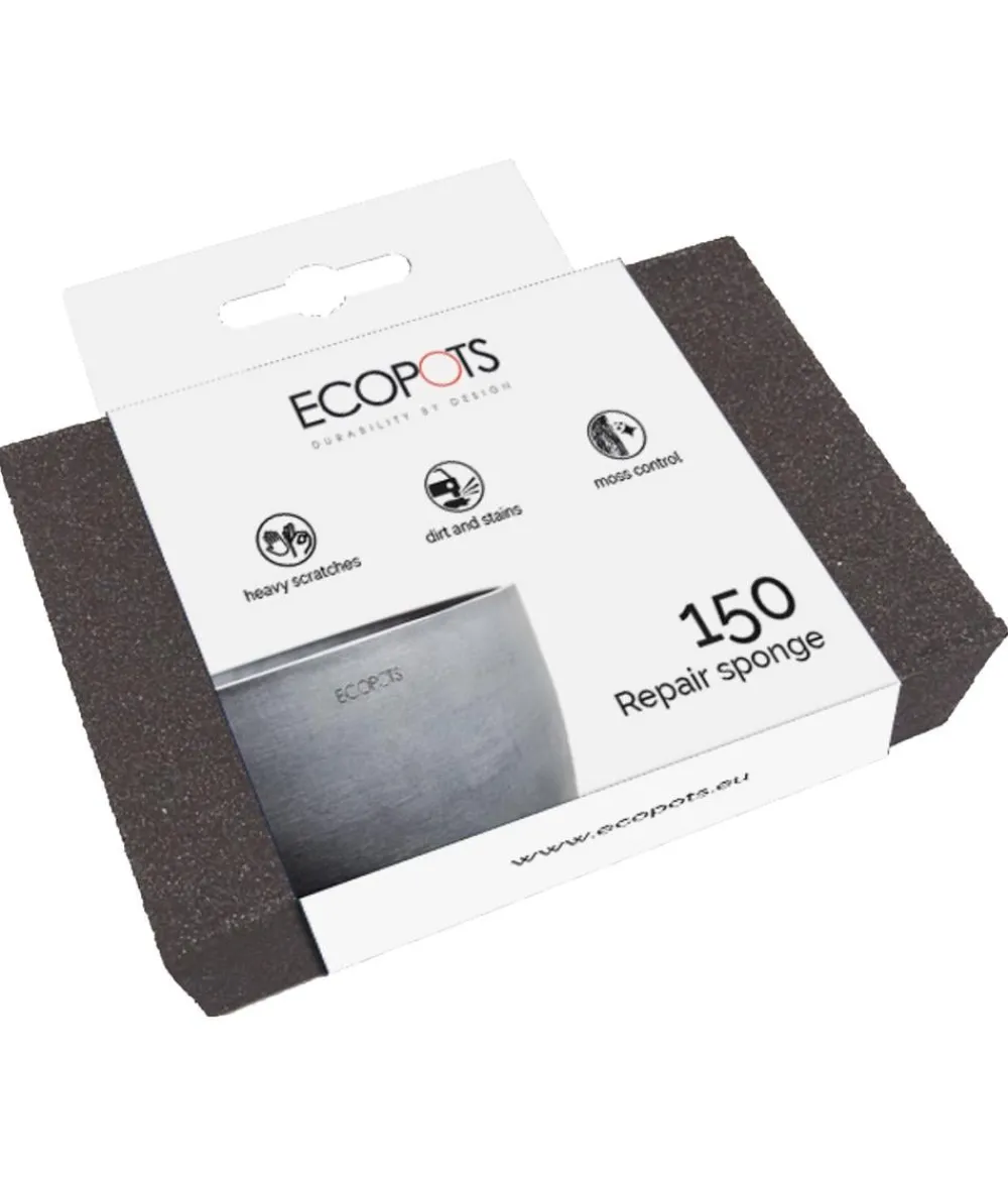 Ecopots Mehr Blumentopfzubehör > Reparaturschwamm, , B10/H7/T2,5 cm