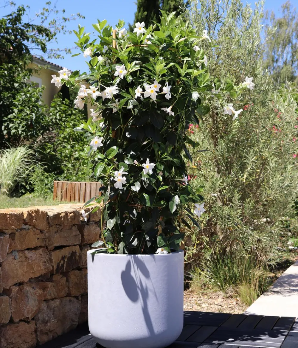 EDA Pflanzkübel & Blumenkästen > Kunststoff-Topf Basalt Up, rund