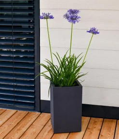 EDA Kunststoff-Topf Basalt Up, quadratisch, ca. B30/H50/T30 cm Anthrazit New
