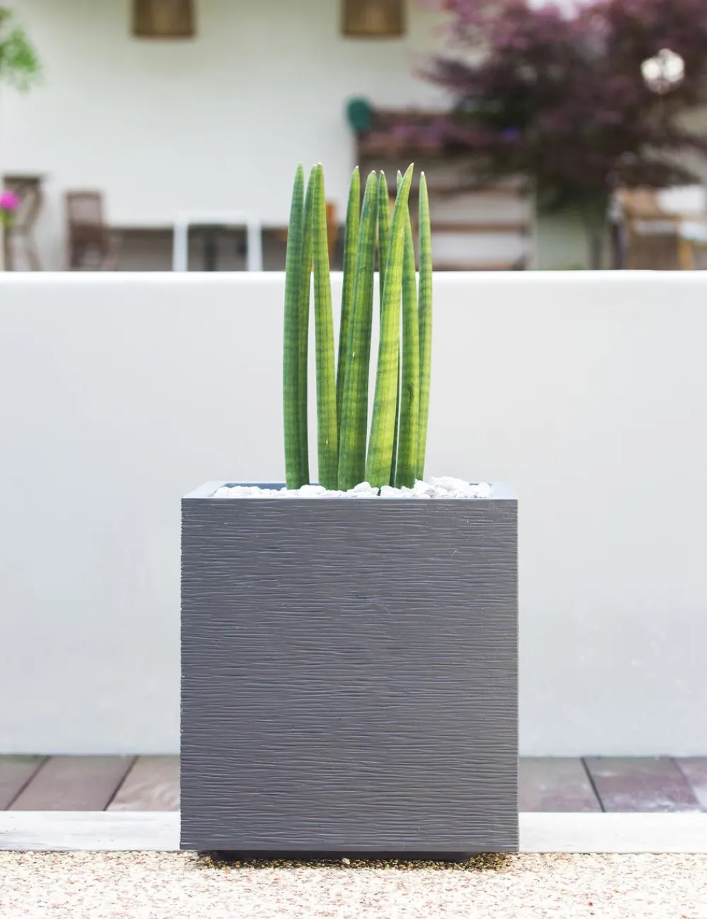 EDA Pflanzkübel & Blumenkästen|Blumentöpfe & Übertöpfe > Kunststoff-Topf Graphit, gerillt