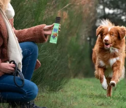 Edgard & Cooper® Edgard & Cooper Hundesnack Keep It Up Bar, Apfel & Blaubeere, 24 x 30 g Online