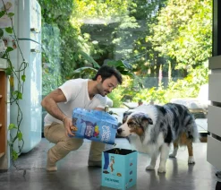 Edgard & Cooper® Edgard & Cooper Trockenfutter für Hunde, Delikater Norwegischer Lachs Adult Sale