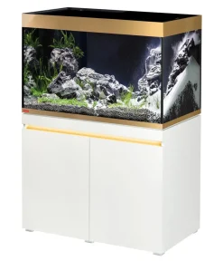 EHEIM Aquarium Komplettsets - Aquarium Kombination Incpiria 330 + Gratis LEDcontrol+e Gold