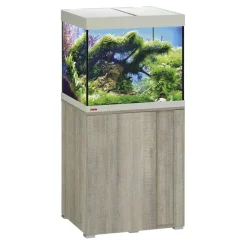 EHEIM Aquarium Komplettsets > Aquarium Kombination VivalineLED 150, ca. B61/H124/T51 cm, 150 l