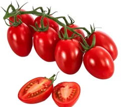 Dehner Auberginen- & Tomatenpflanzen > Eiertomate,