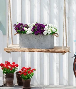 Dehner Terrassenpflanzen|Sommerblumen - Eisenkraut Weiß