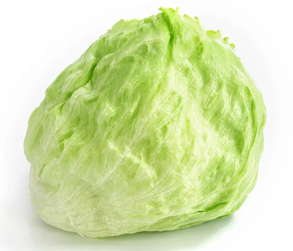 Dehner Kohl- & Salatpflanzen > Eissalat, lausresistent, 12er Schale