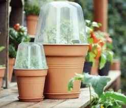 Elho Anzucht Zubehör|Anzuchthäuser > Green Basics Anzuchthaube, rund