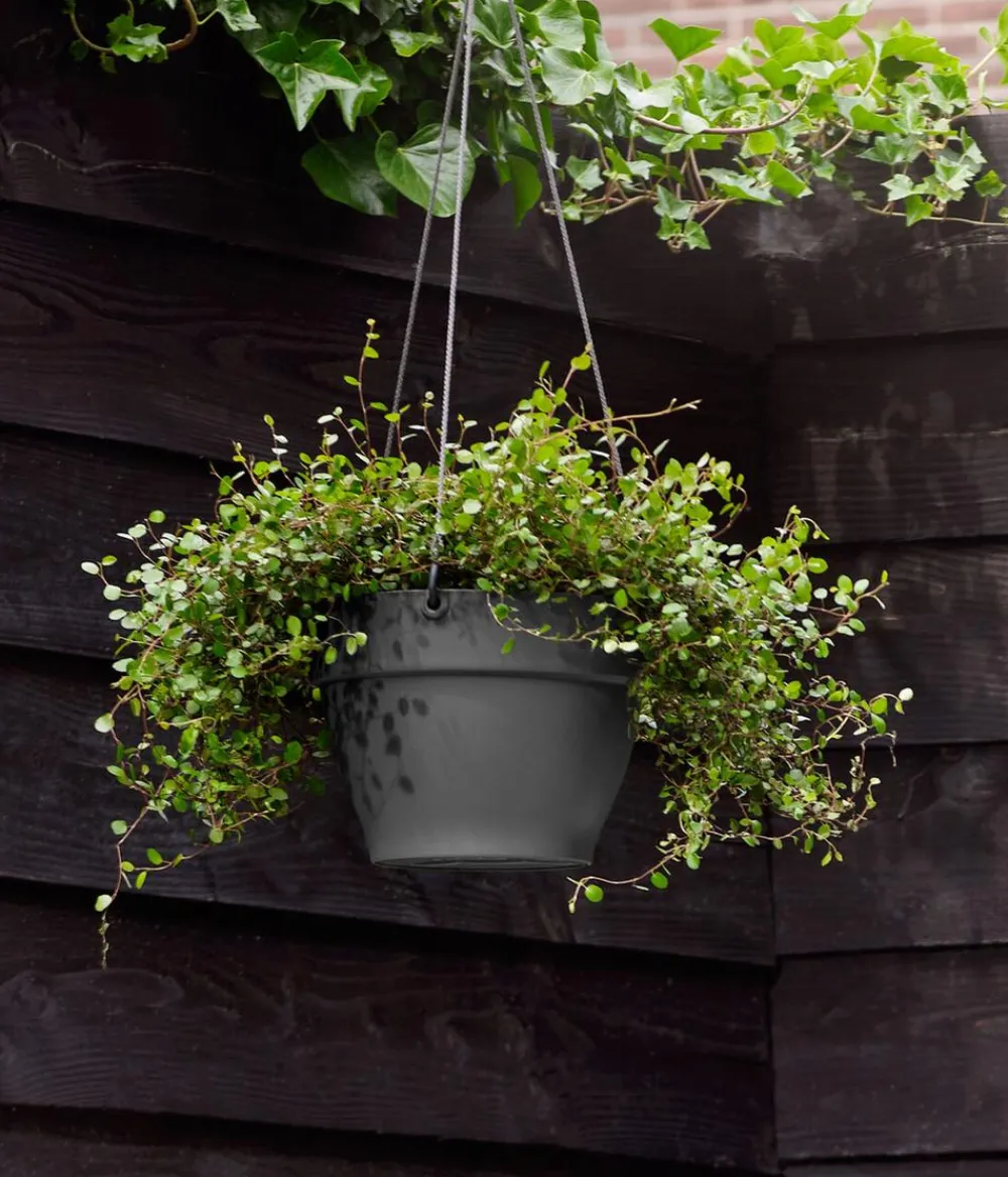 Elho Blumenampeln & -Schalen > Kunststoff-Hängeampel Vibia Campana, rund, , ca. Ø26/H18 cm