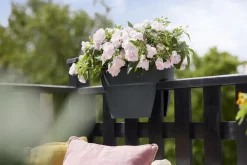 Elho Pflanzkübel & Blumenkästen - Kunststoff-Hängetopf Vibia Campana Flower Bridge, oval Anthrazit