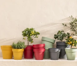 Elho Blumentöpfe & Übertöpfe > Kunststoff-Pflanztopf Paris, rund