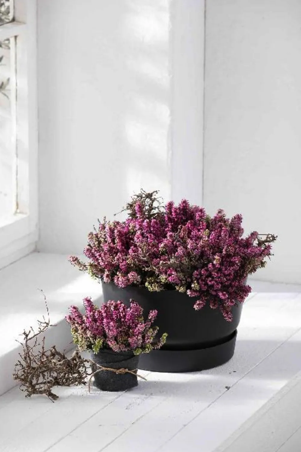 Elho Blumenampeln & -Schalen|Blumentöpfe & Übertöpfe > Kunststoff-Schale Greenville, ca. Ø33/H19,5 cm