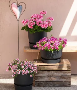 Elho Kunststoff-Topf Greenville, rund, ca. Ø19/H18 cm Schwarz Discount