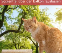 Elmato® Mehr Katzenzubehör - Katzentreppe, 100 cm Natur
