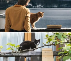 Elmato® Mehr Katzenzubehör - Katzentreppe, 100 cm Natur