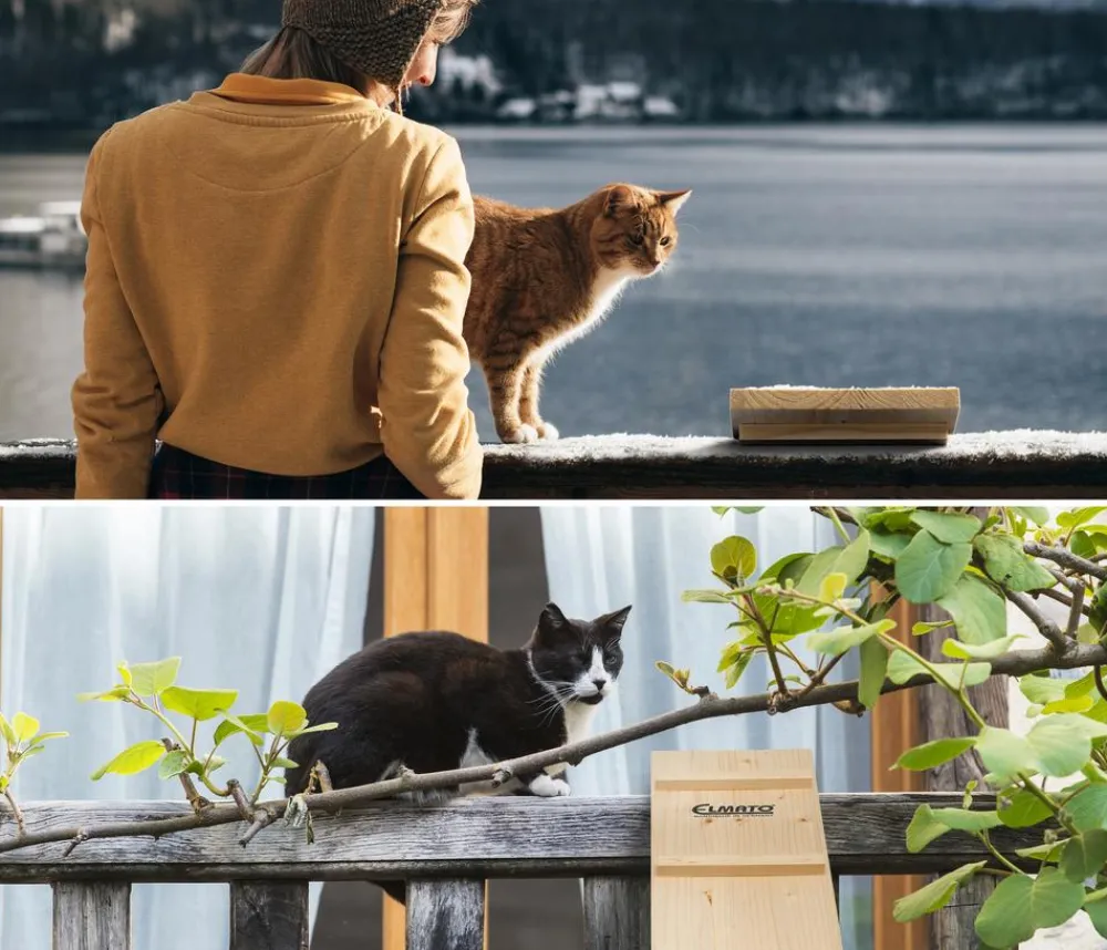 Elmato® Mehr Katzenzubehör - Katzentreppe, 2 x 100 cm Natur