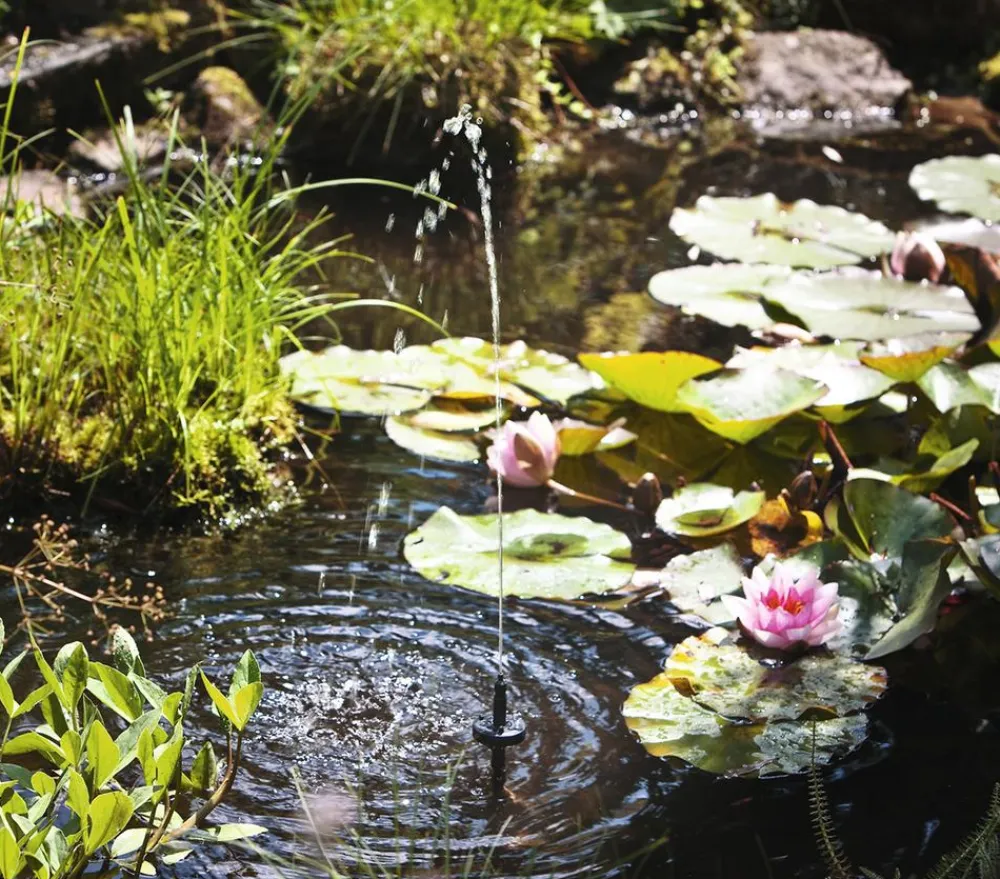 Esotec Solarpumpe Palermo LED für den Gartenteich Schwarz Sale